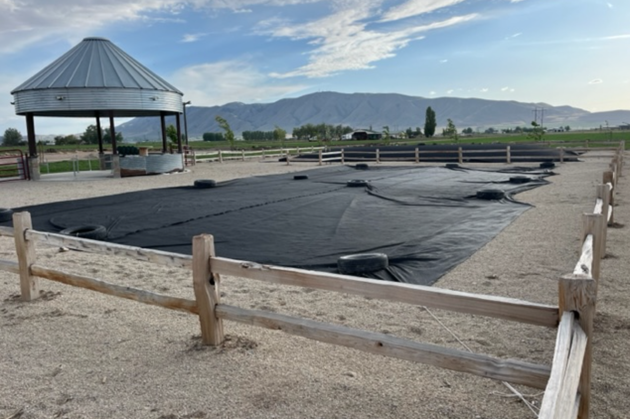 Jumbo jumper sales air pillow cost