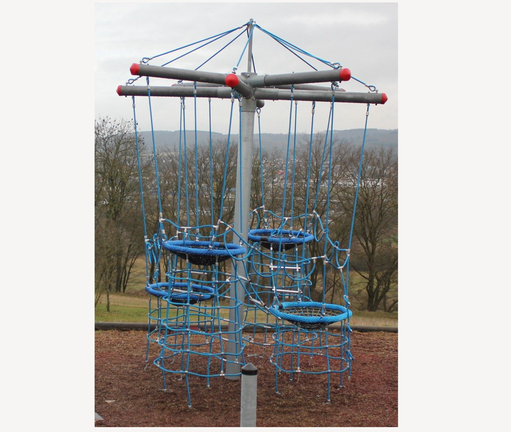 Bird's Nest Tree