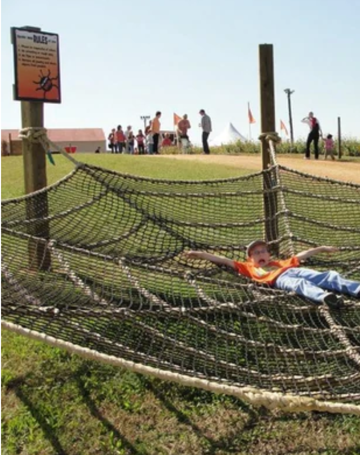 Spider Web Rules Spider Web Rules Sign – Farmtasticfun