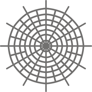 Netform Spider Web